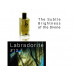#13 EDPLABRADORITE-1 Labradorite 